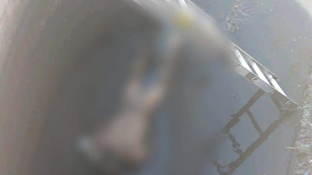 WhatsApp Image 2020-10-22 at 4.25.17 PM