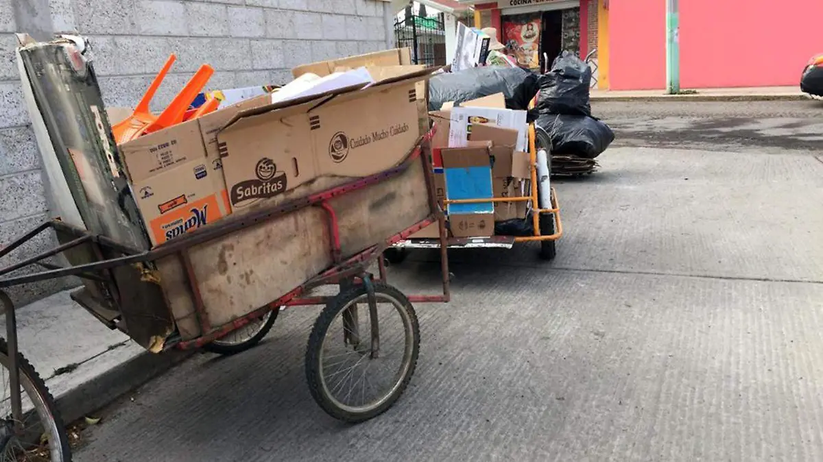 COLECTORES (2)