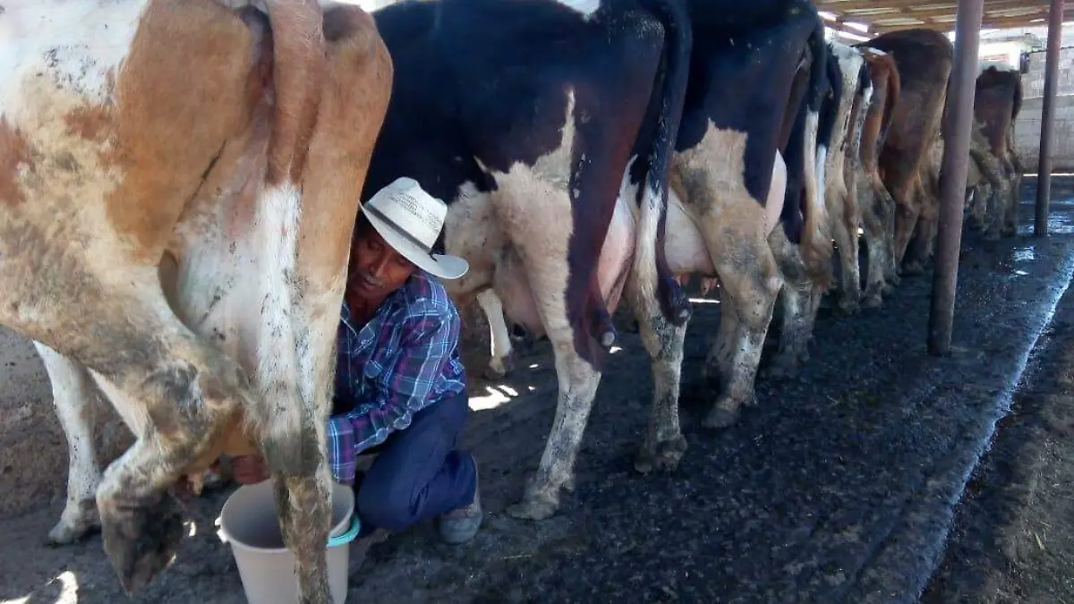 WhatsApp Image 2020-04-20 at 23.00.21