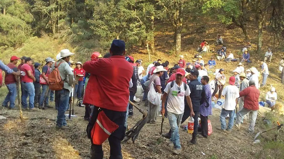 WhatsApp Image 2021-04-15 at 11.27.09 AM