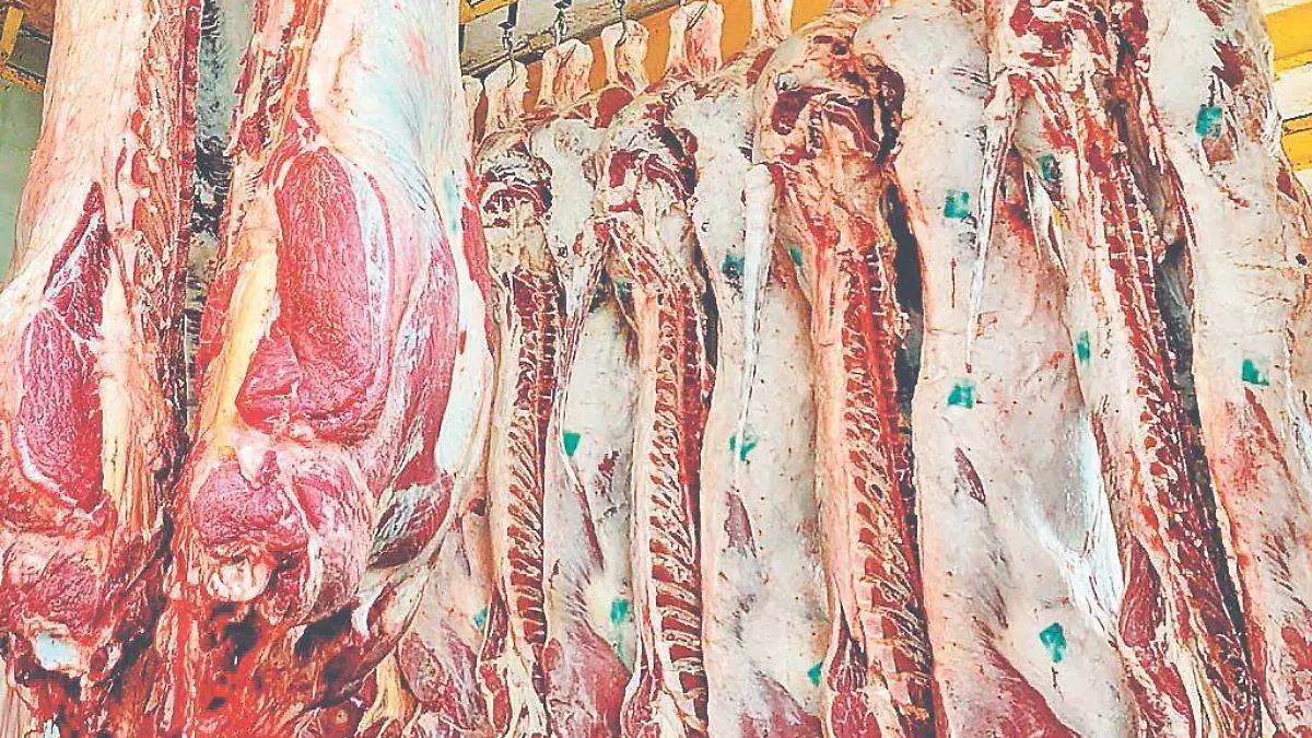 WhatsApp Image 2019-05-10 at 16.17.07