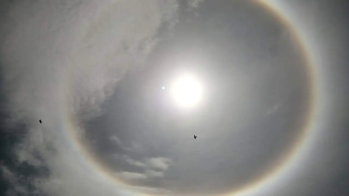 WhatsApp Image 2020-06-23 at 12.15.19