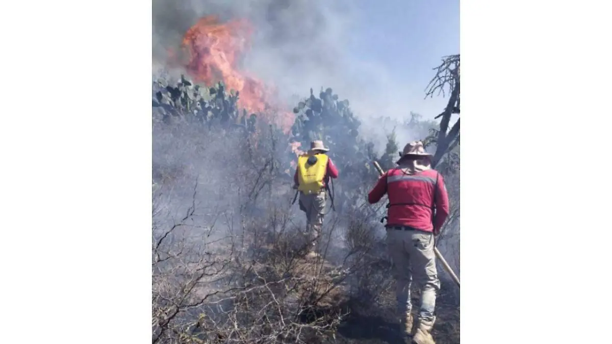 WhatsApp Image 2021-04-13 at 2.35.31 AM