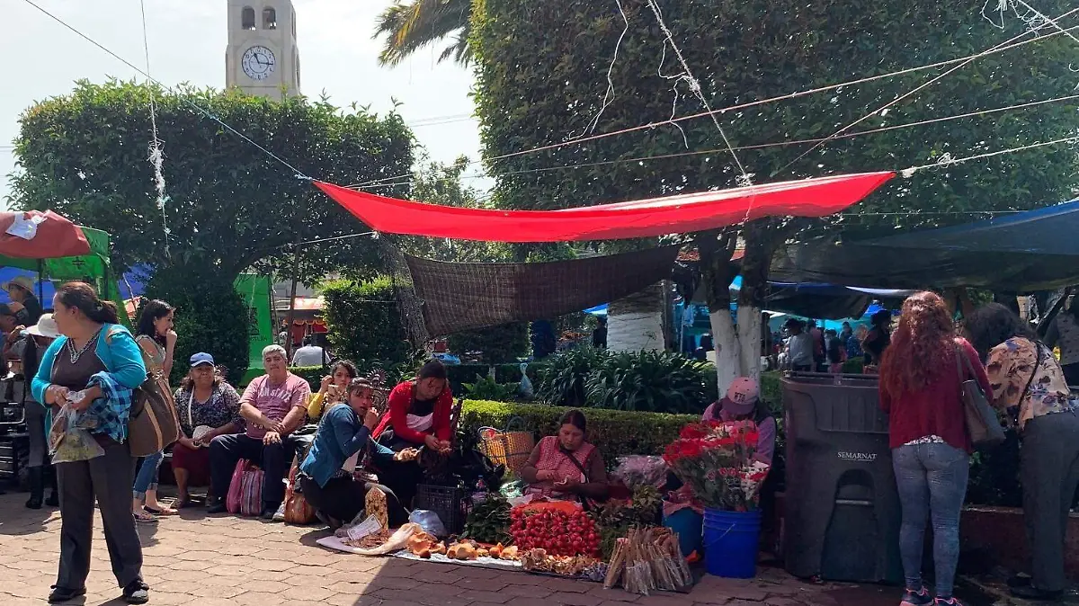 TIANGUIS ACAXOCHITLAN (1)