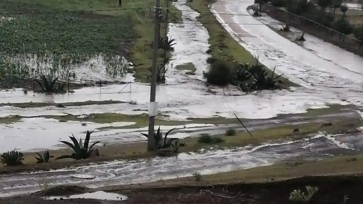 SIN AFECTACIONES (2)