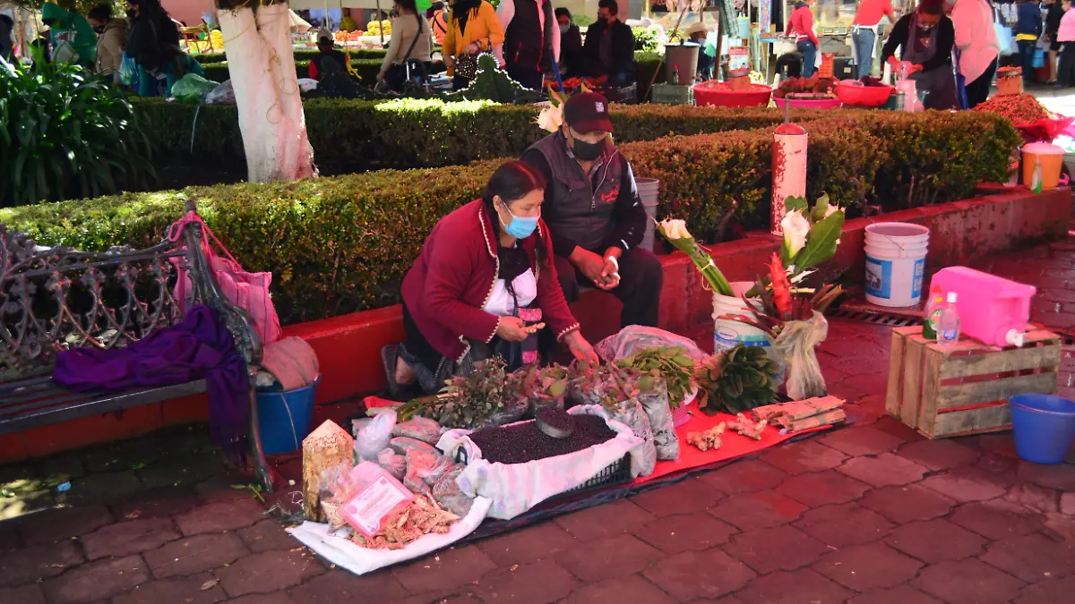 2  CONFERENCIA ACAXOCHITLÁN _ JAFET TERRAZAS