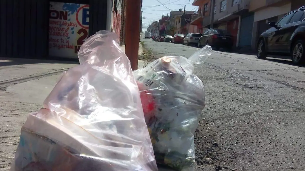 BASURA GUADALUPE (2)