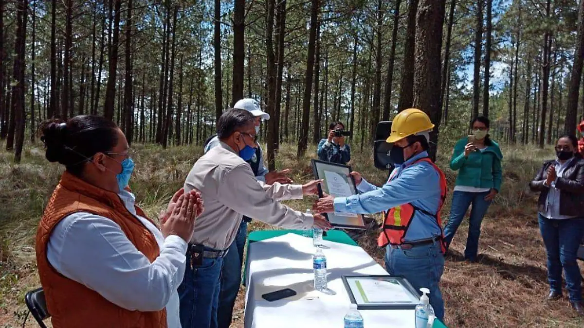 RECONOCIMIENTO BOSQUES (13)