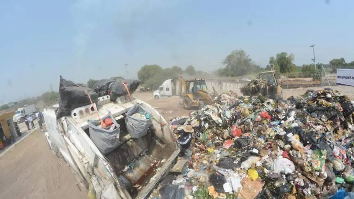 BASURA 11