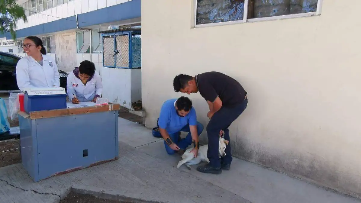 VACUNACIÓN MASCOTAS 3