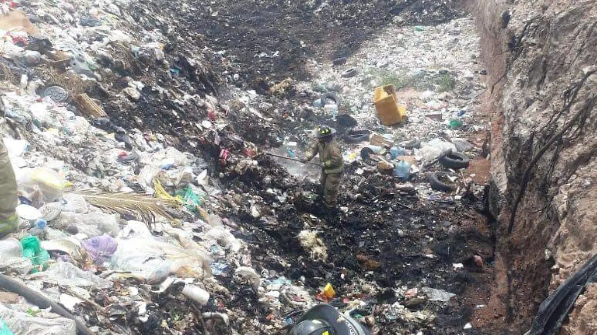 WhatsApp Image 2019-09-09 at 1.44.52 PM