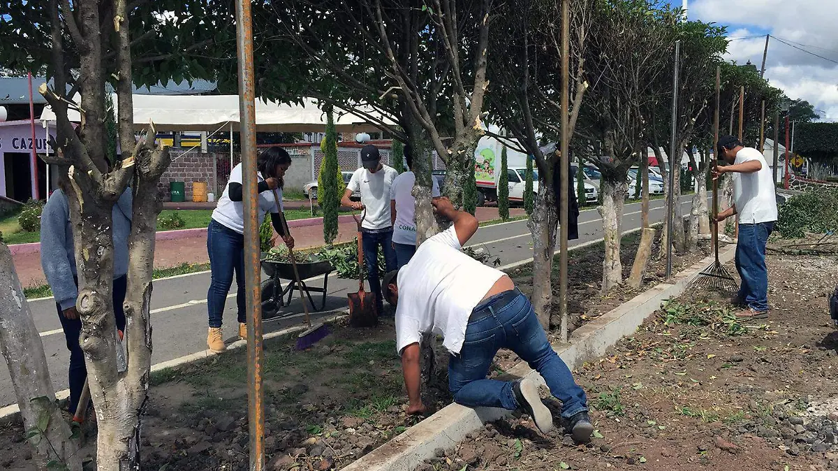CONSTRUYENDO (4)