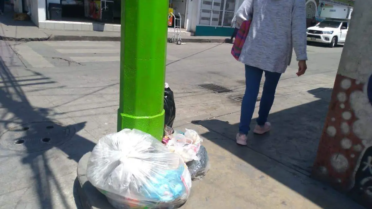 BASURA TEPEJI DOS