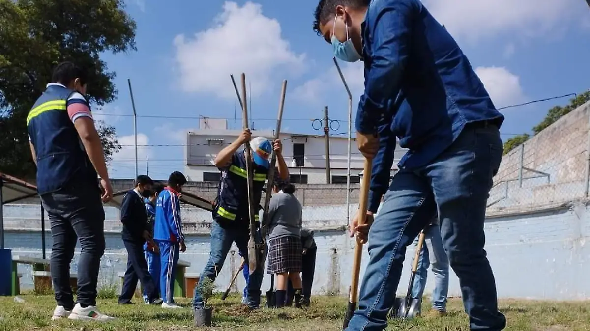 JORNADA DE REFORESTACIÓN