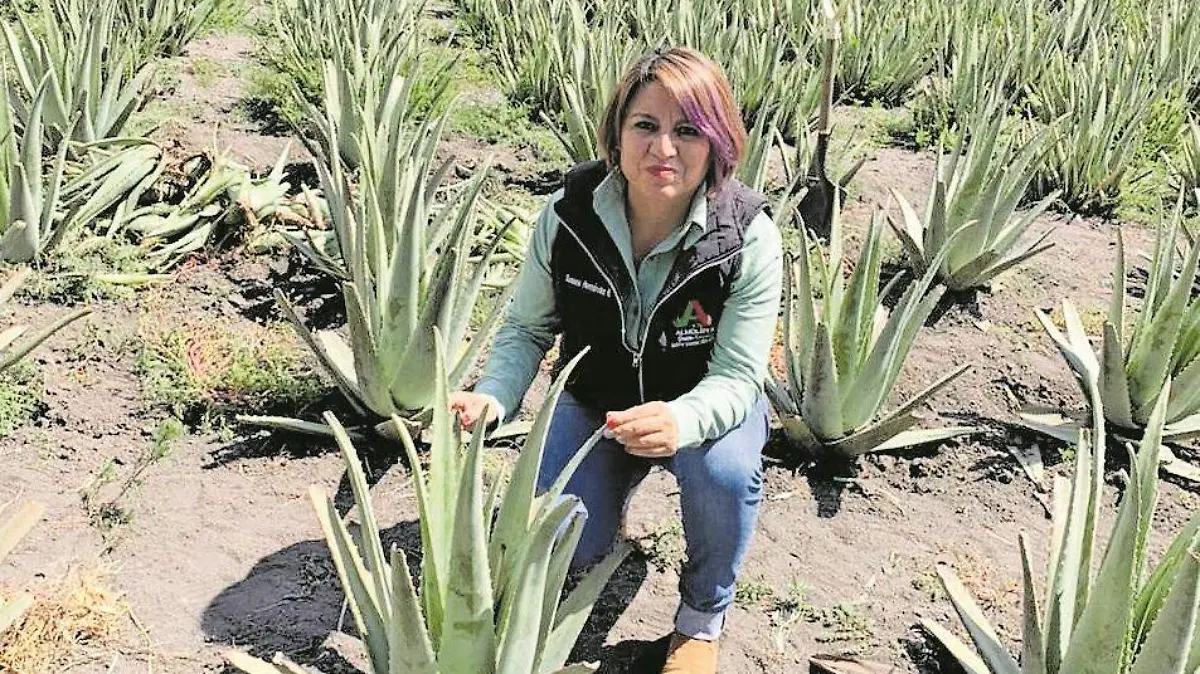 ALOEVERA04 (1)_CMYK