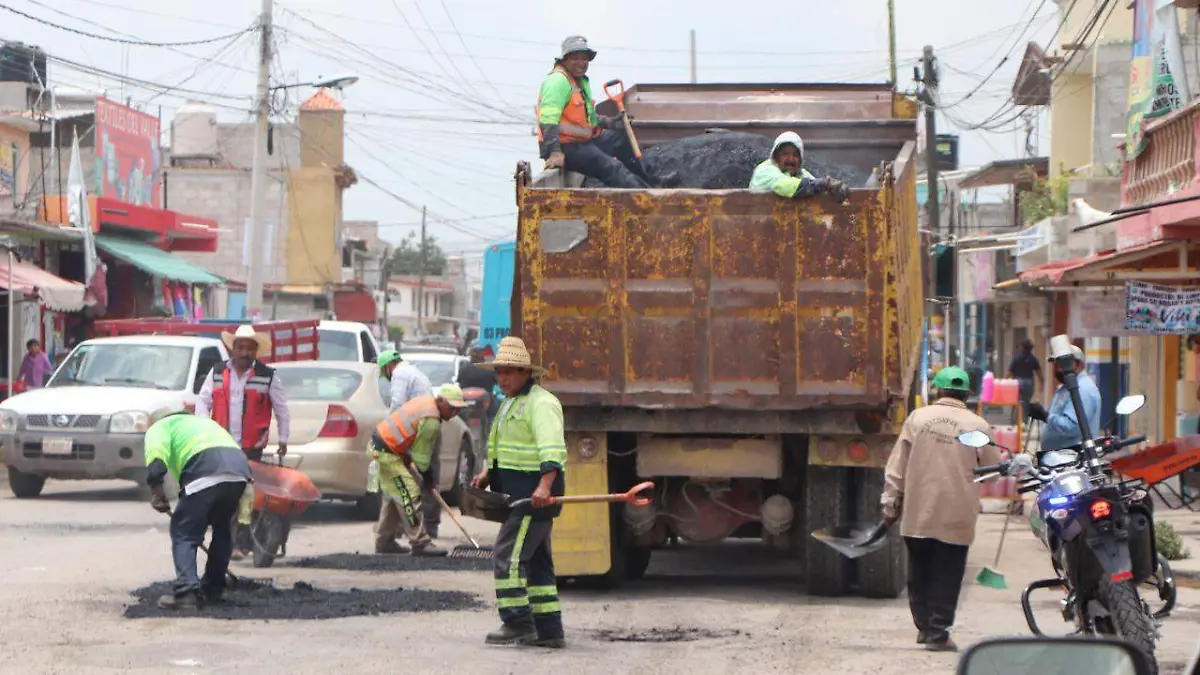 TAPAN BACHES CUATRO