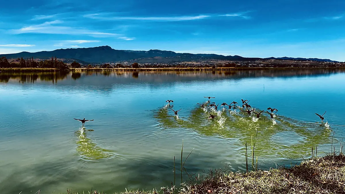 BIODIVERSIDAD (2)