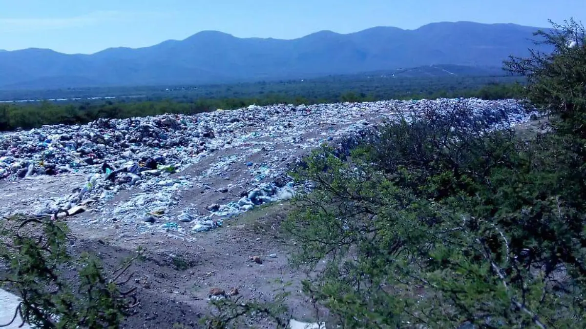 WhatsApp Image 2020-05-04 at 22.57.07