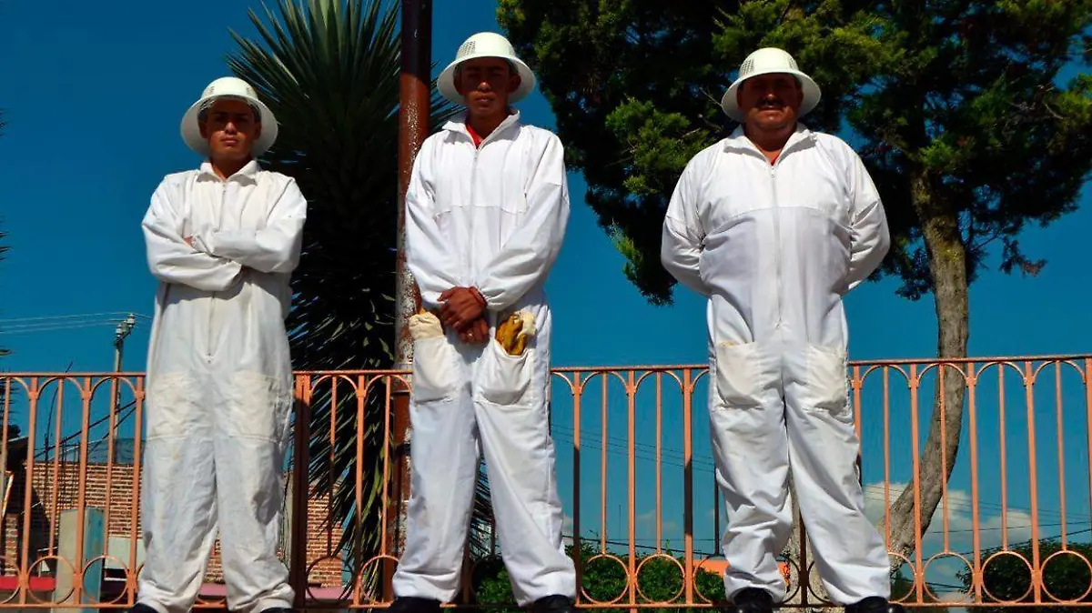 WhatsApp Image 2020-04-28 at 22.37.09