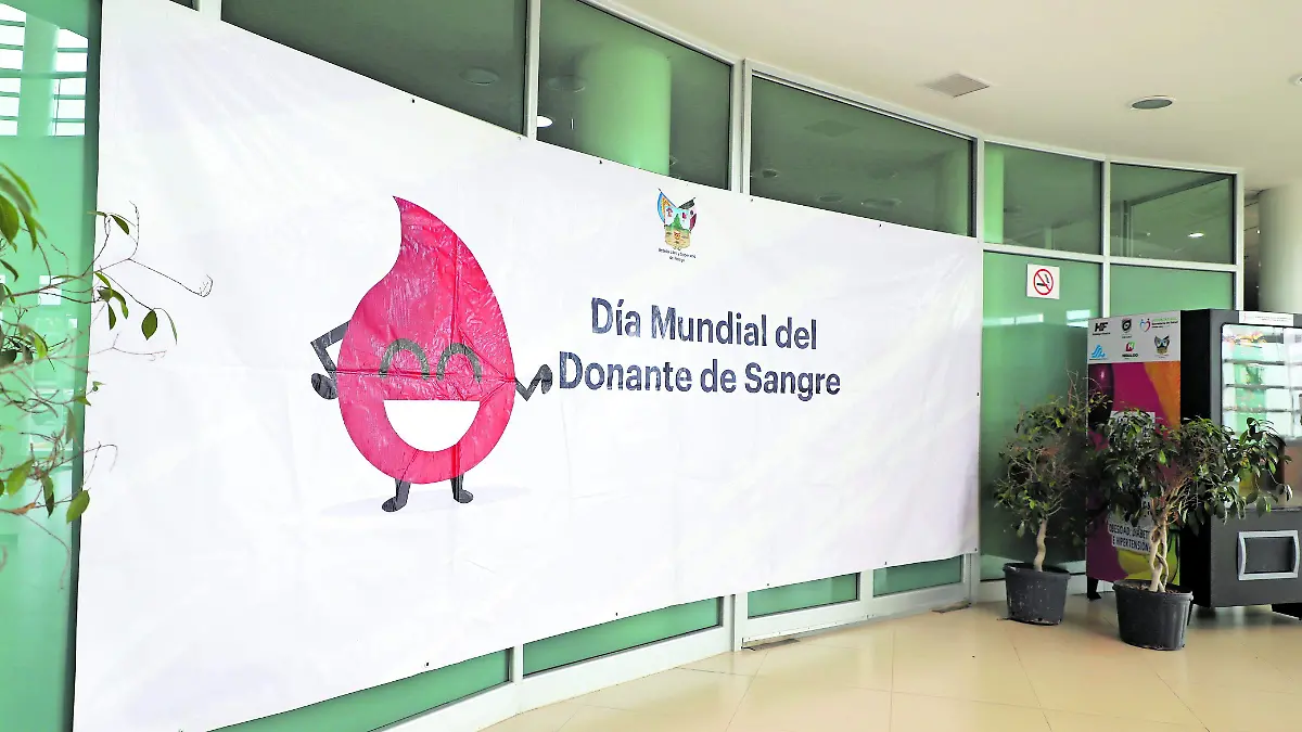 DONANTE F BEG (2)_CMYK