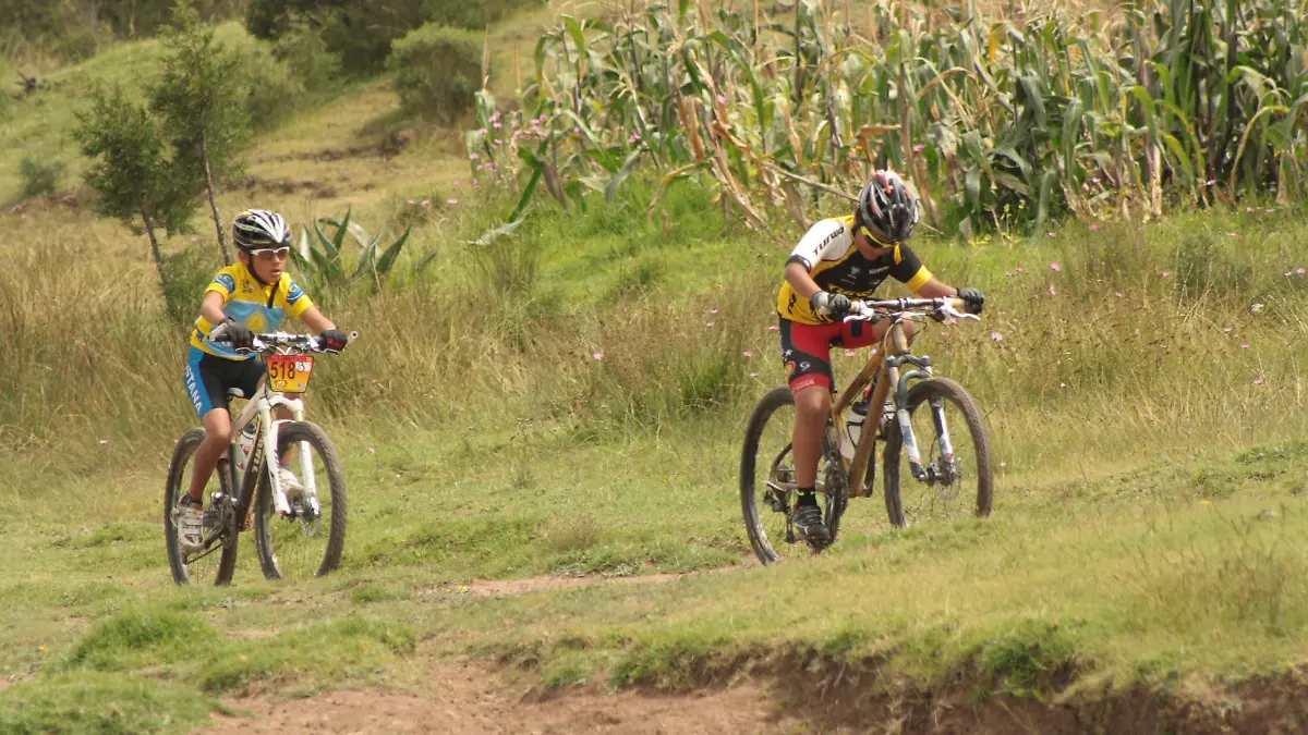 TGO 2 MTB