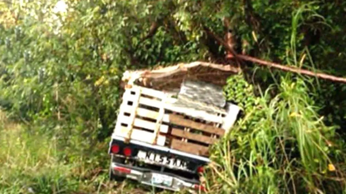 CAMIONETA COMERCIANTE1