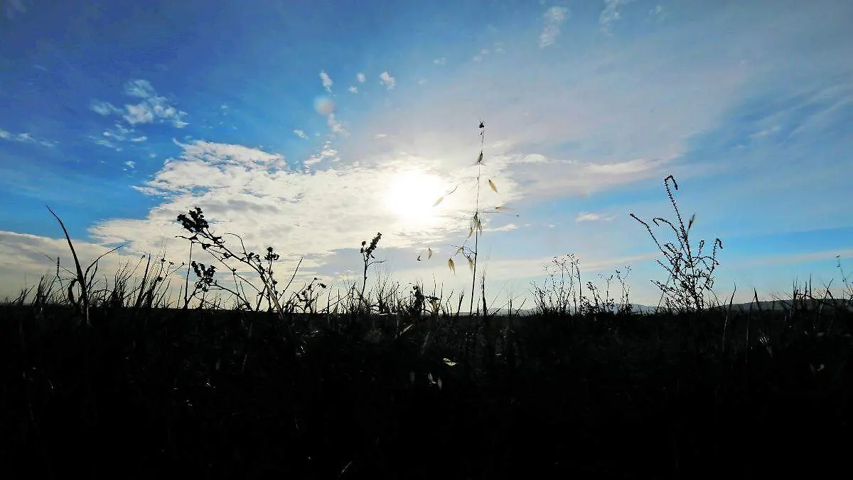 Clima en Hidalgo 7 de febrero