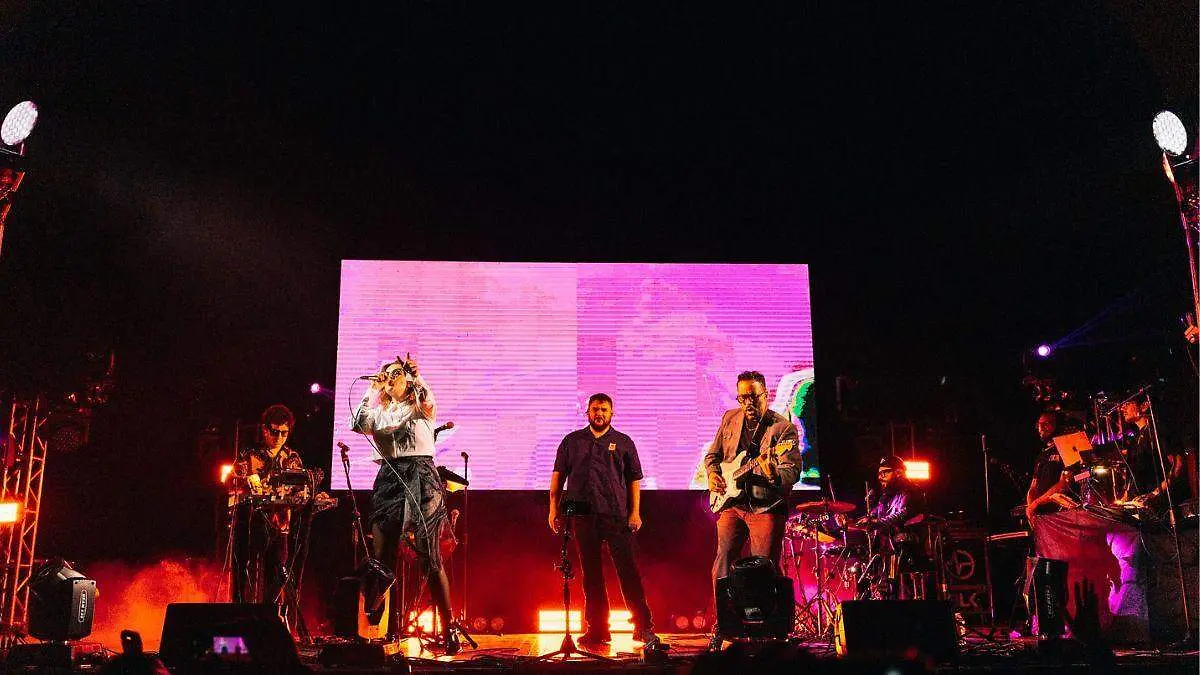 hello seahorse pachuca  (1)