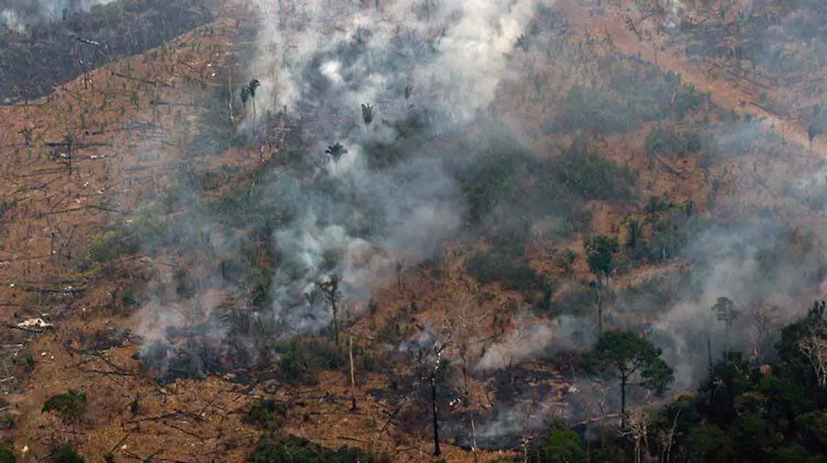 amazonas-afp