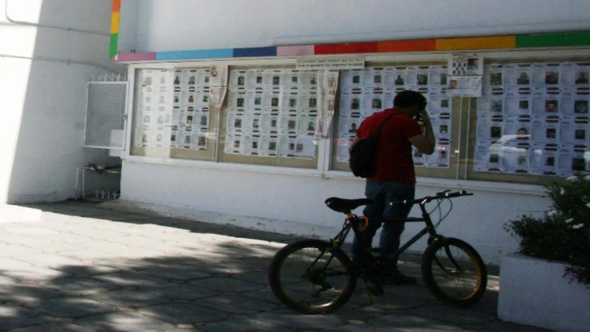 COLECTIVO (1)