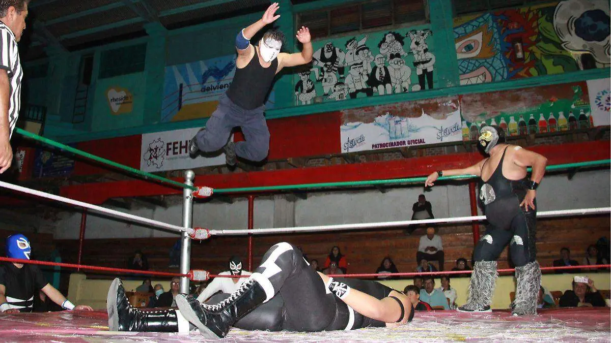 ARENA AFICIÓN LUCHA LIBRE