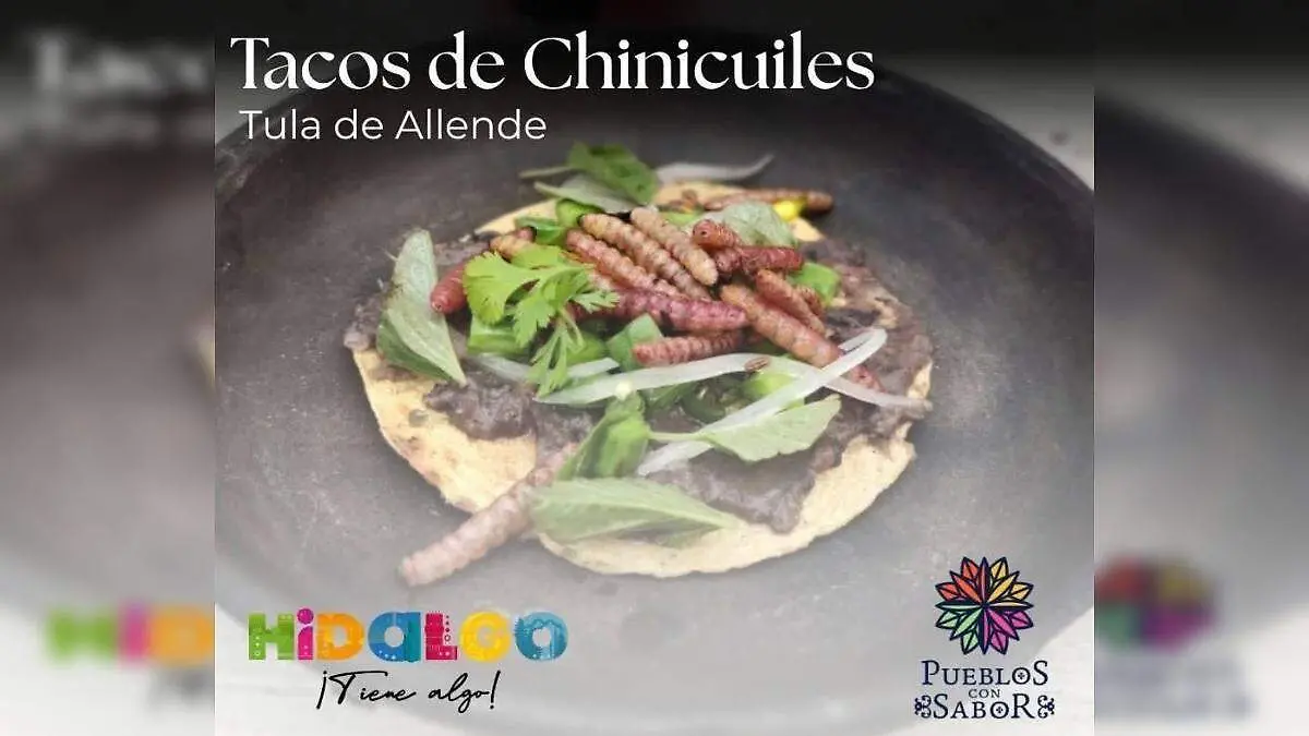 Taco de chinicuil Tula
