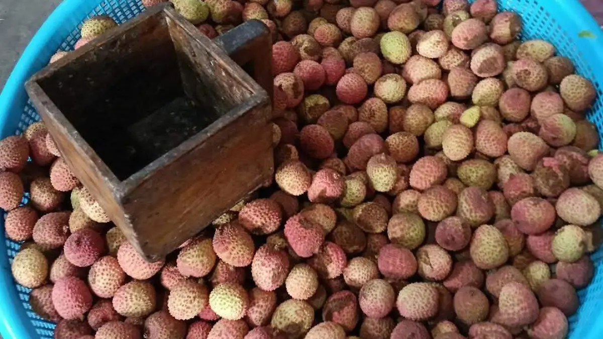 VENTA LITCHI 1