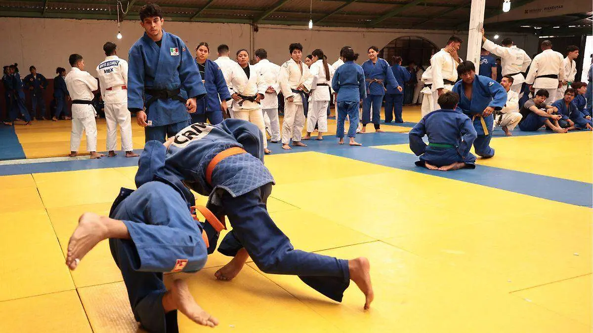 JUDO CAMPAMENTO