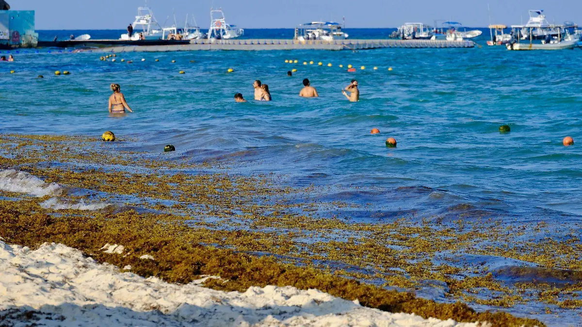 978974_Sargazo Playa del Carmen_web