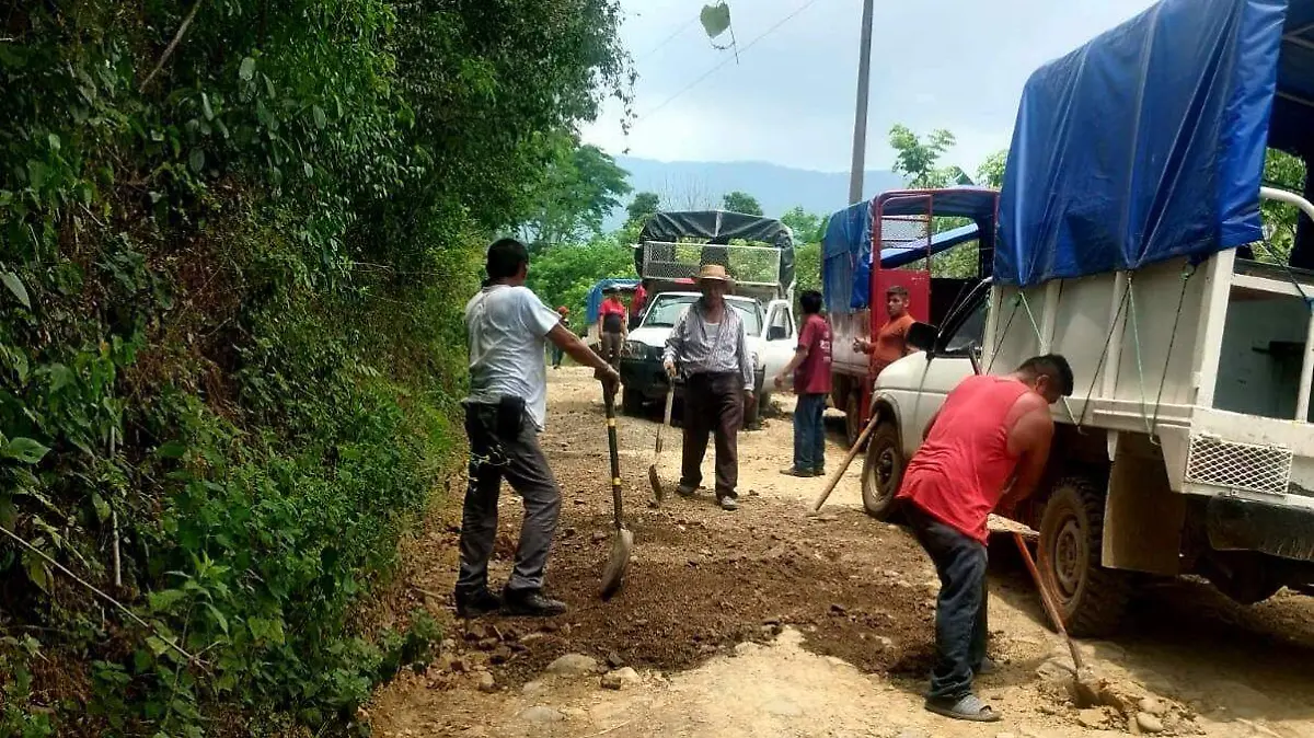 BACHEAN TRANSPORTISTAS1