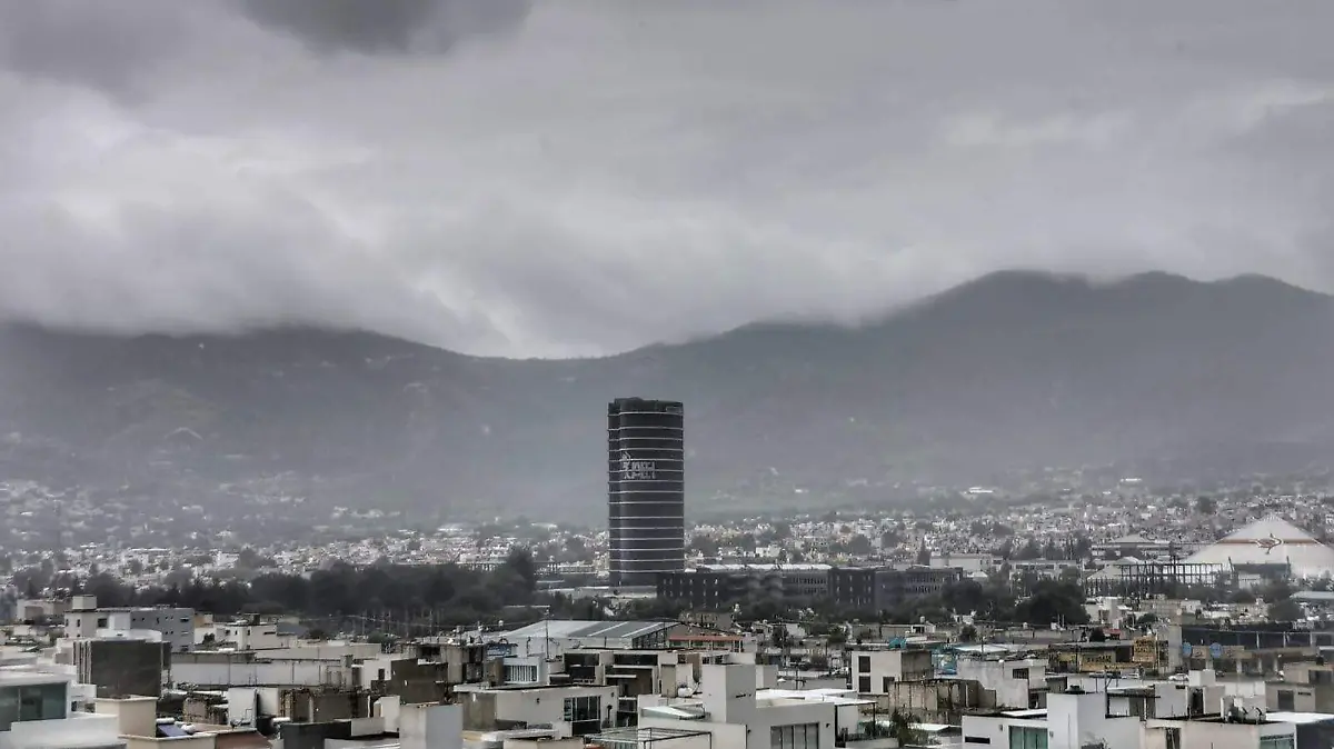 WhatsApp Image 2025-06-18 at 2.25.40 PM