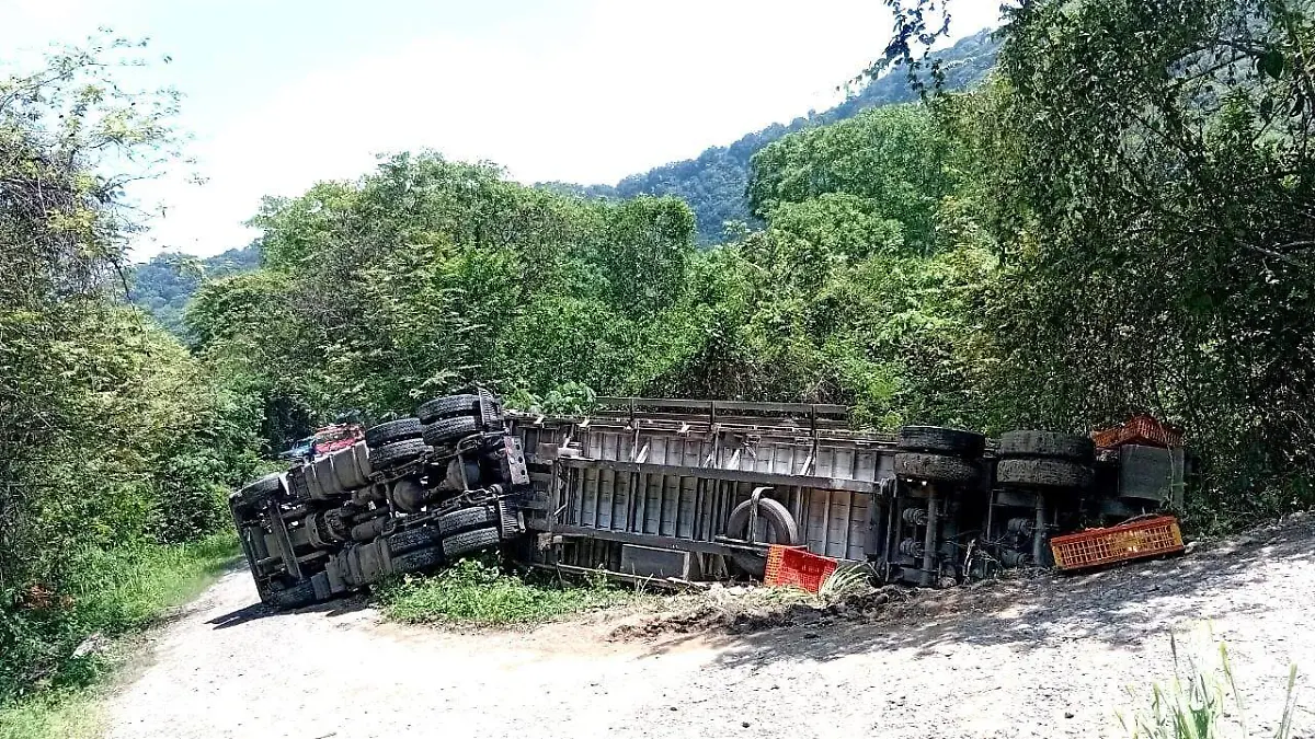 TRÁILER POLLOS 1