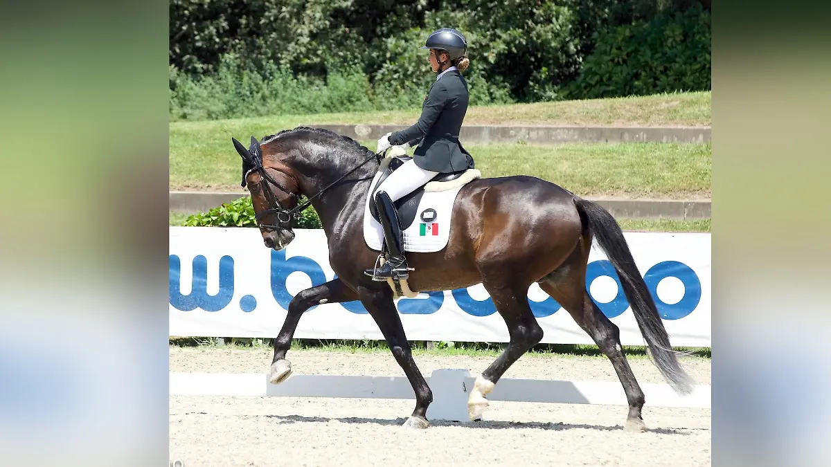 Agregar algo de texto_20250712_133527_0000