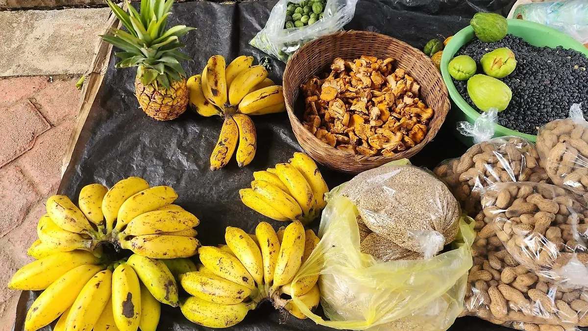 PRODUCTOS ORGÁNICOS 1