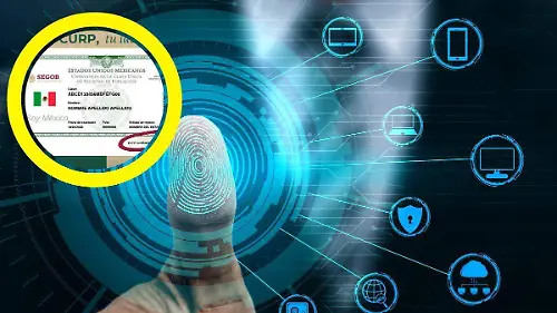 curp biométrica hidalgo