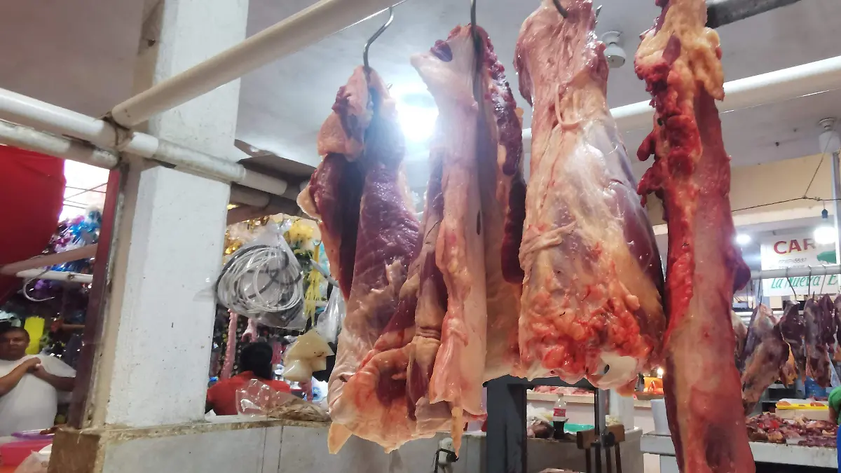 INCREMENTÓ CARNE 1