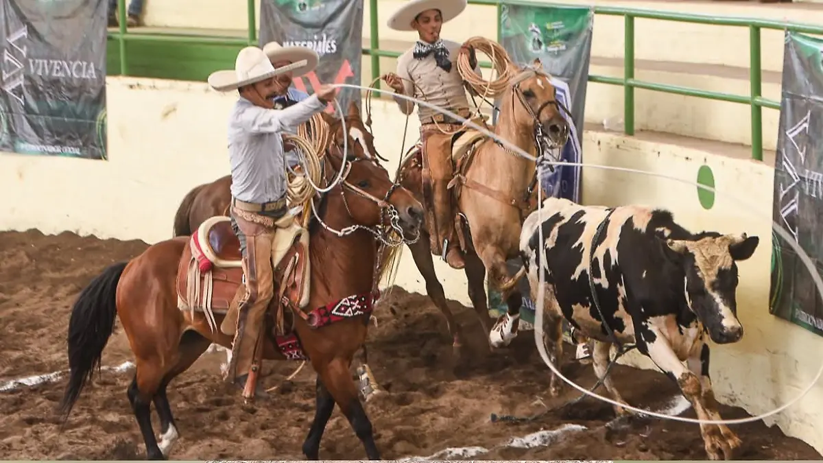 Agregar algo de texto_20250729_132248_0000