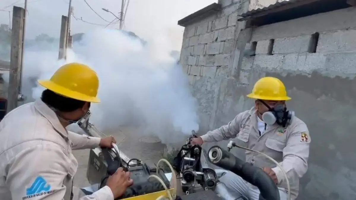 DENGUE FUMIGAR 1