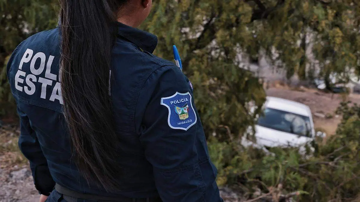 Policía estatal ilustrativa