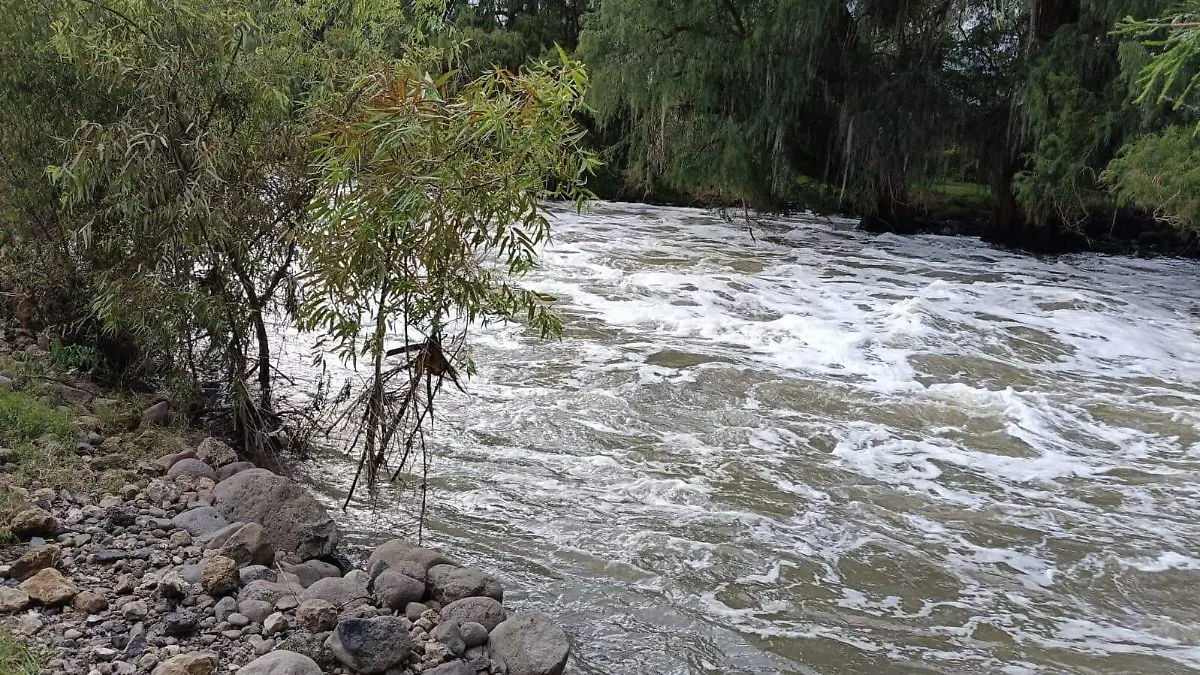 IMG-20250814-WA0054