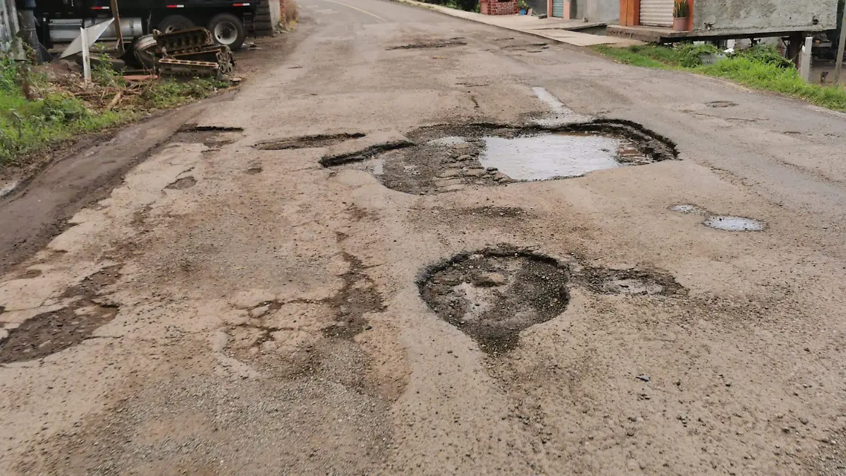BACHES FEDERAL 1