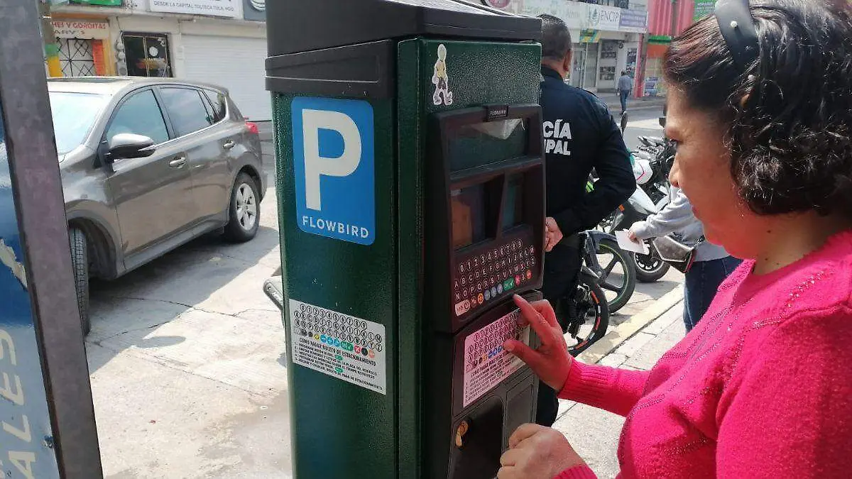WEB PARQUIMETROS BUENAA