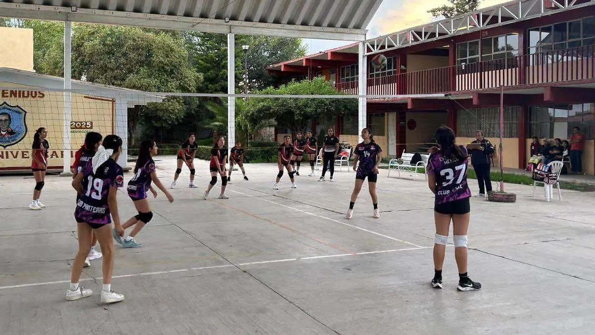VOLEIBOL