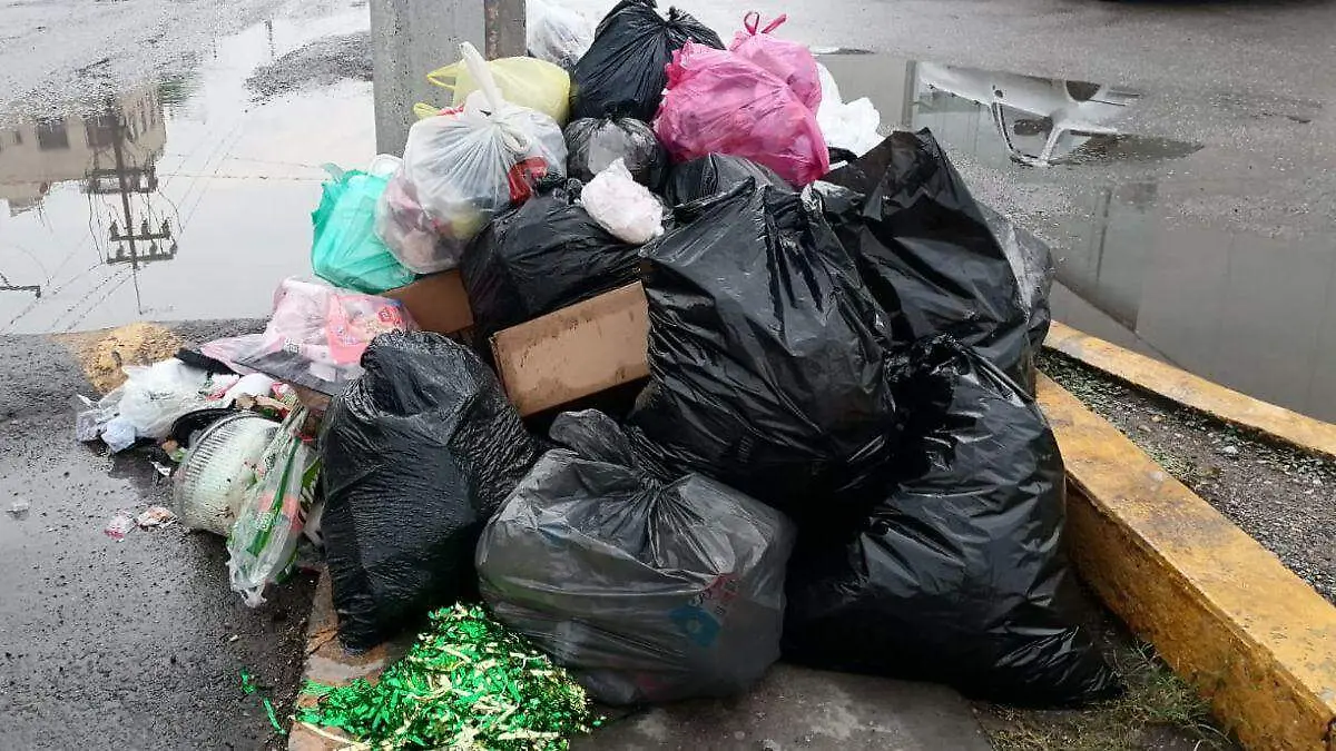 WEB BASURA BUENAA